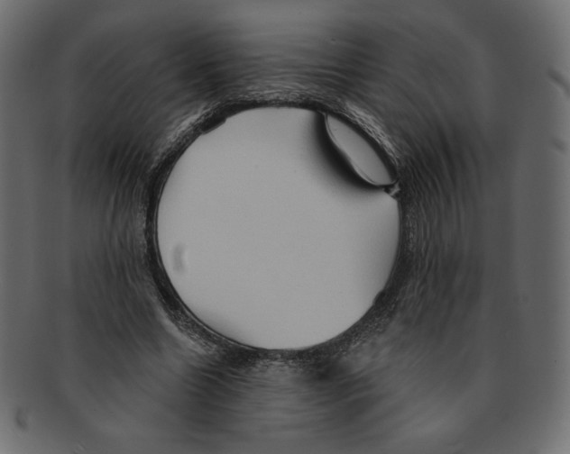 X0000091910538200710031021