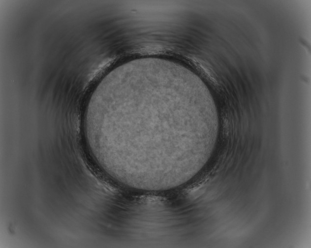 X0000091910539200710031021