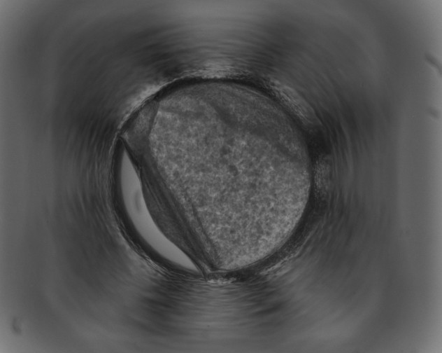 X0000091910540200710031021