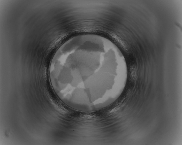 X0000091910542200710031021