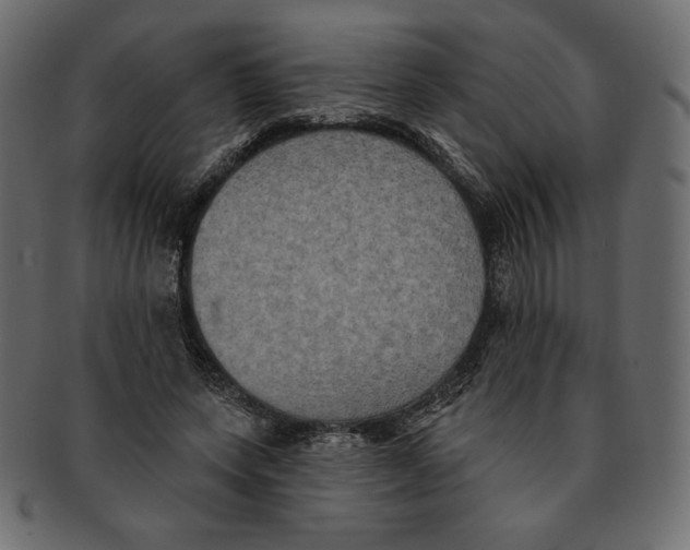 X0000091910543200710031021