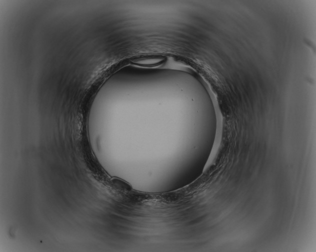 X0000091910544200710031021