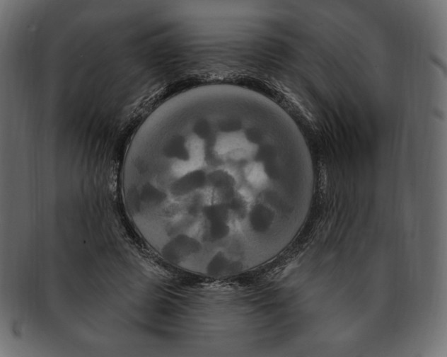 X0000091910545200710031021