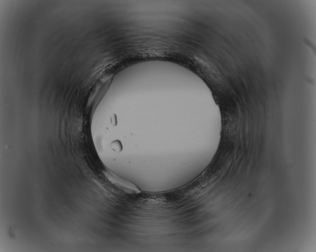 X0000091910548200710031021