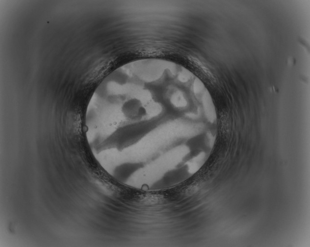 X0000091910549200710031021