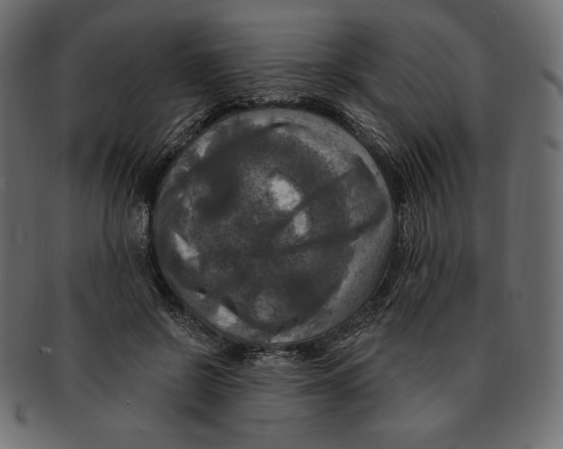 X0000091910550200710031021