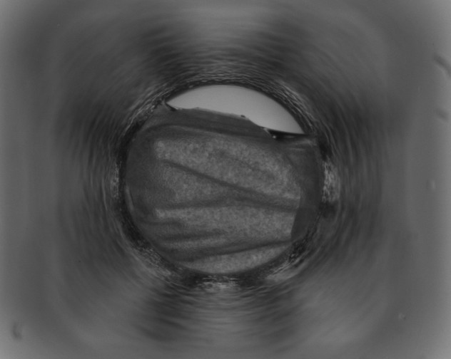 X0000091910552200710031021