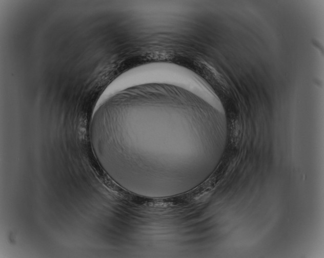 X0000091910553200710031021