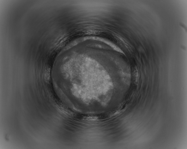 X0000091910554200710031021