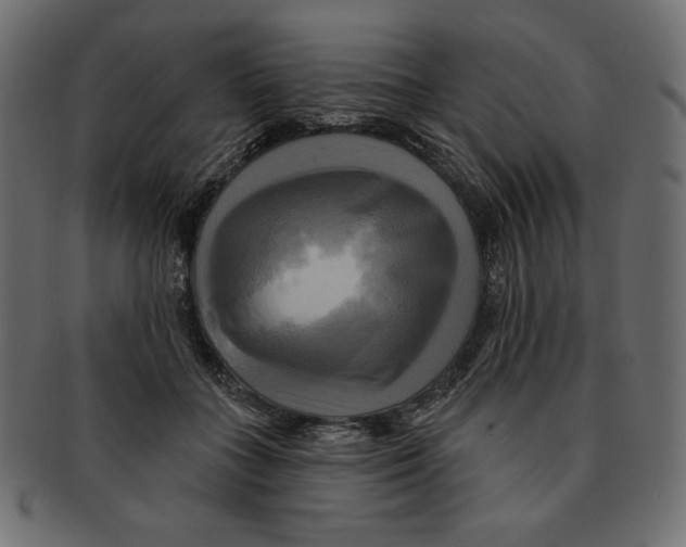 X0000091910555200710031021