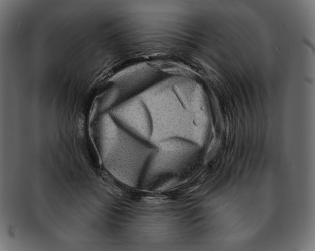 X0000091910556200710031021