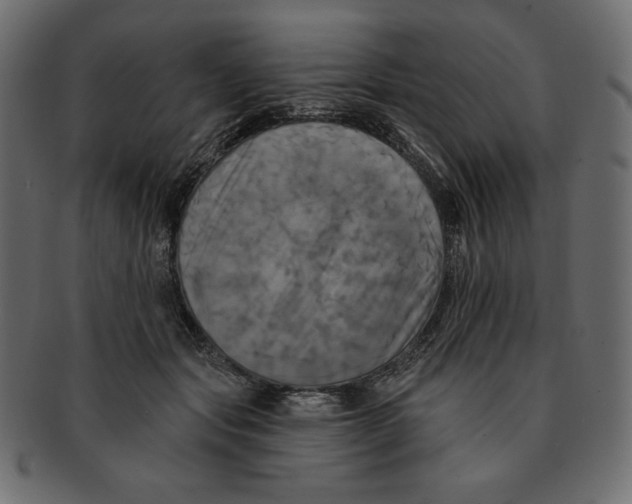 X0000091910557200710031021