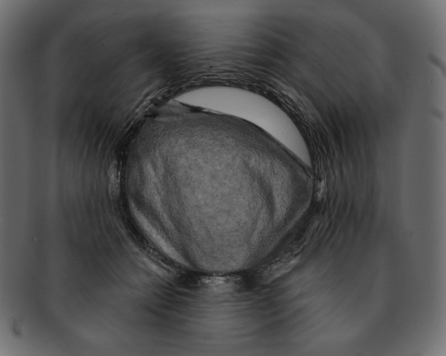 X0000091910558200710031021