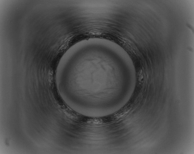 X0000091910559200710031021