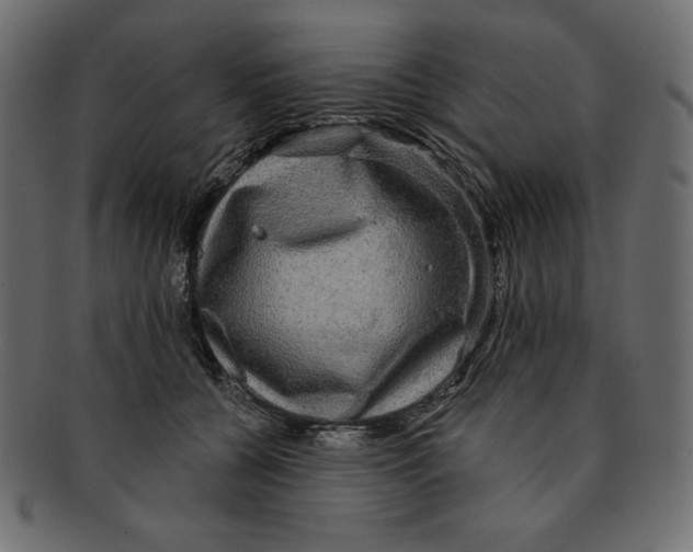 X0000091910560200710031021