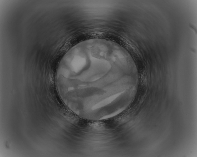 X0000091910561200710031021