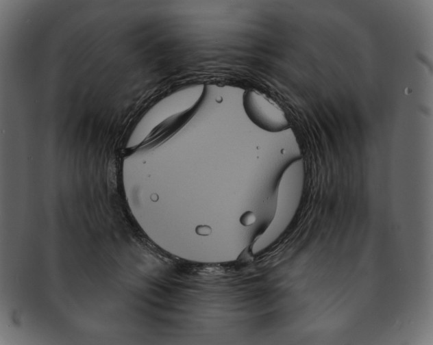 X0000091910562200710031021