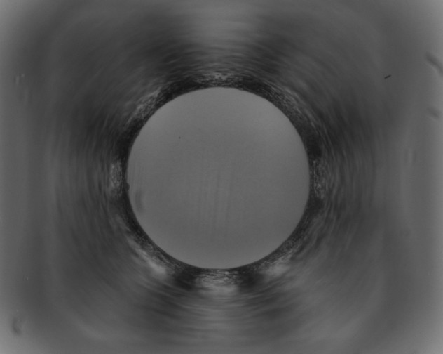 X0000091910563200710031021