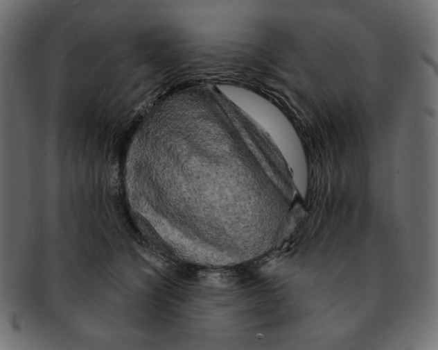 X0000091910564200710031021