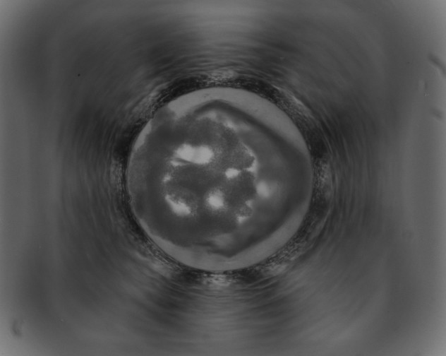 X0000091910565200710031021