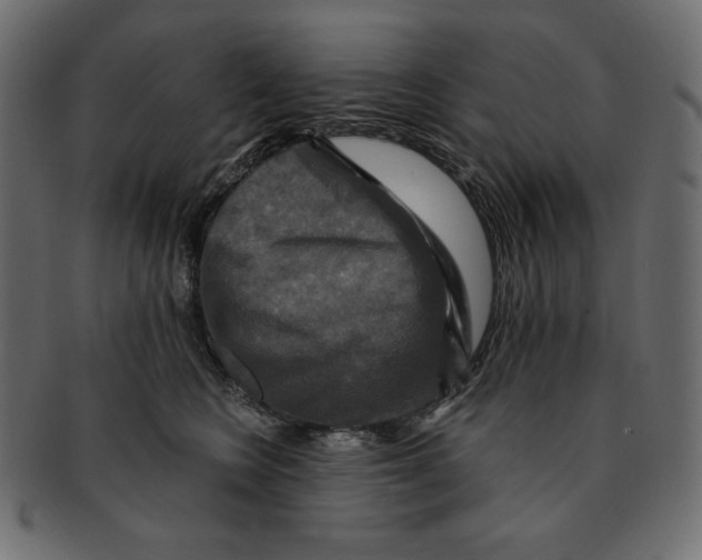 X0000091910566200710031021