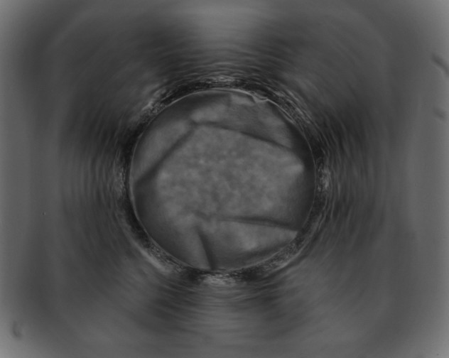 X0000091910568200710031021