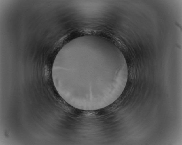 X0000091910569200710031021