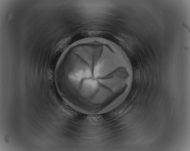 X0000091910571200710031021