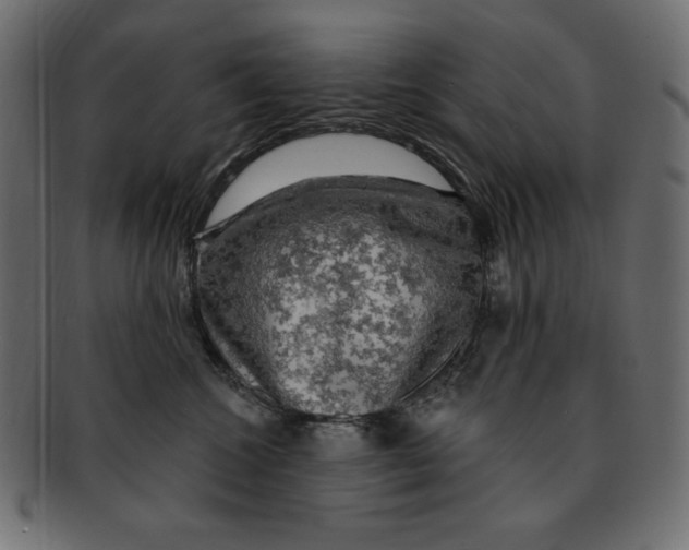 X0000091910572200710031021