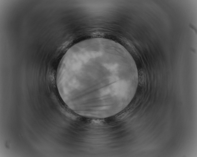 X0000091910573200710031021