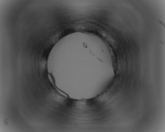 X0000091910574200710031021