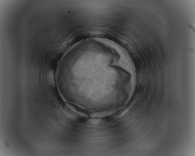 X0000091910575200710031021