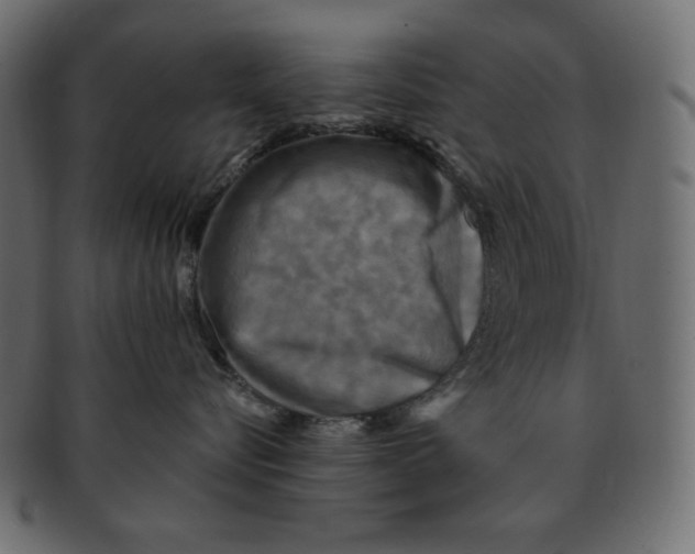 X0000091910576200710031021