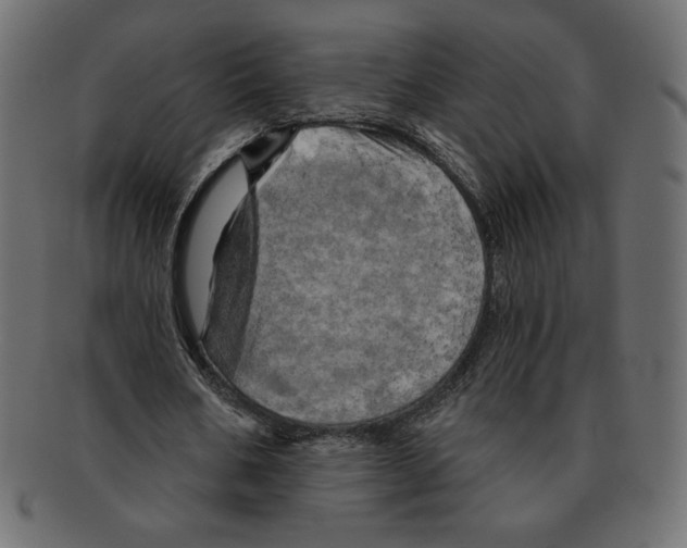 X0000091910578200710031020