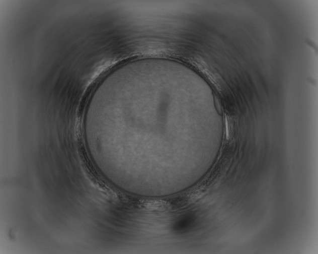 X0000091910579200710031020