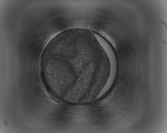 X0000091910580200710031020