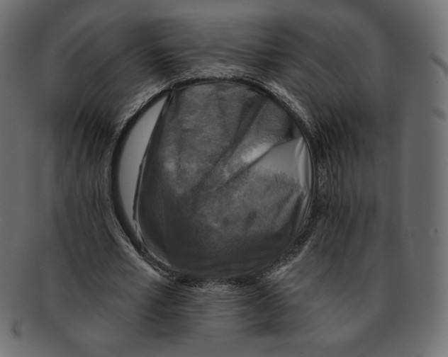 X0000091910581200710031020