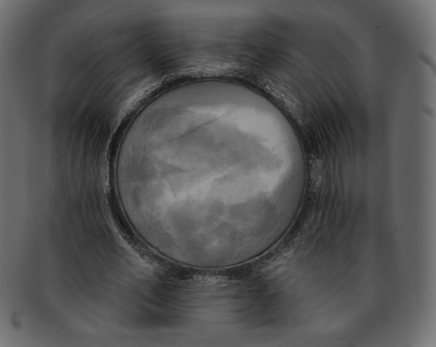 X0000091910582200710031020