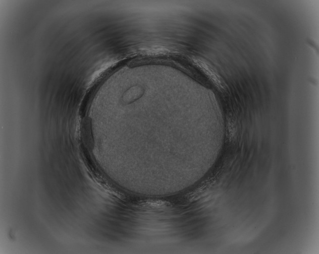 X0000091910583200710031020