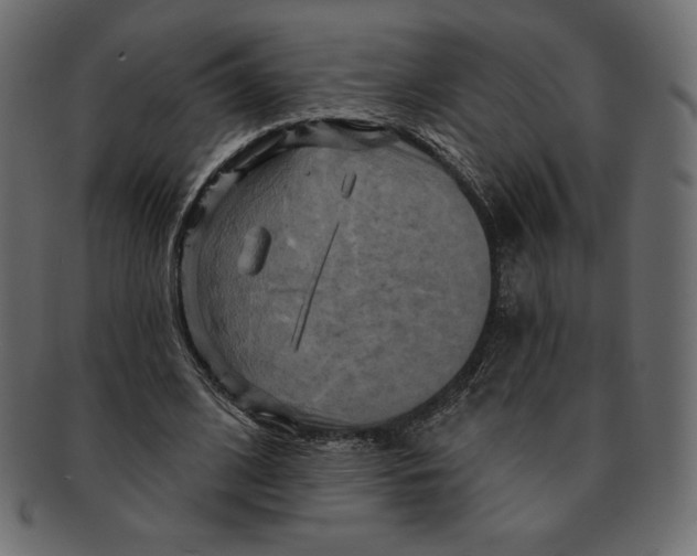 X0000091910584200710031020