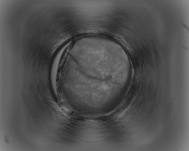 X0000091910585200710031020