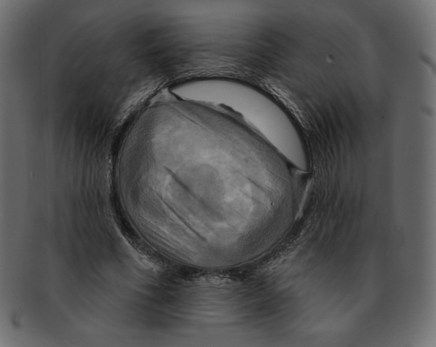 X0000091910586200710031020