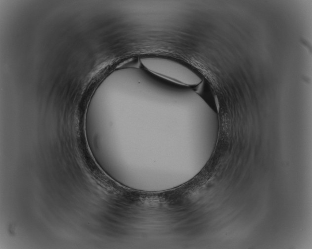 X0000091910587200710031020