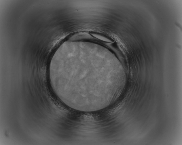 X0000091910588200710031020