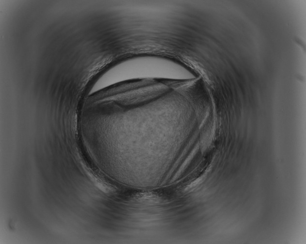 X0000091910589200710031020