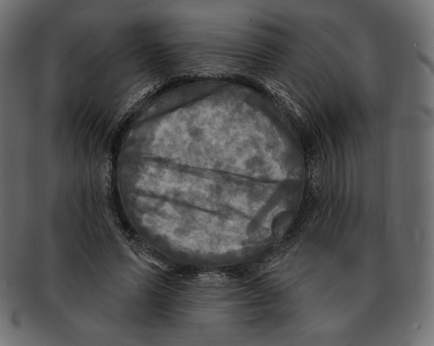 X0000091910591200710031020