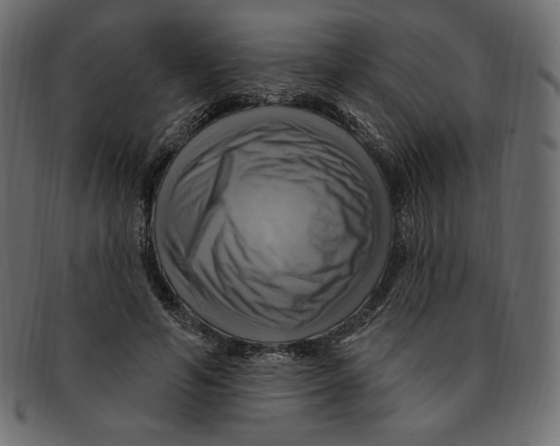 X0000091910594200710031020