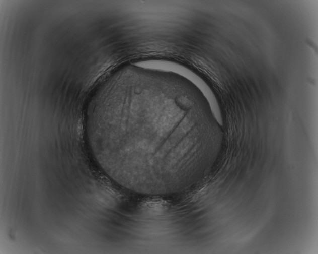 X0000091910595200710031020