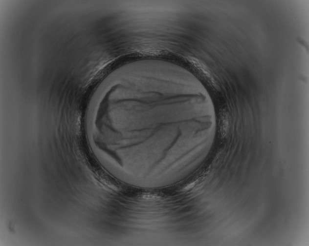 X0000091910596200710031020