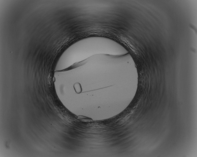 X0000091910597200710031020